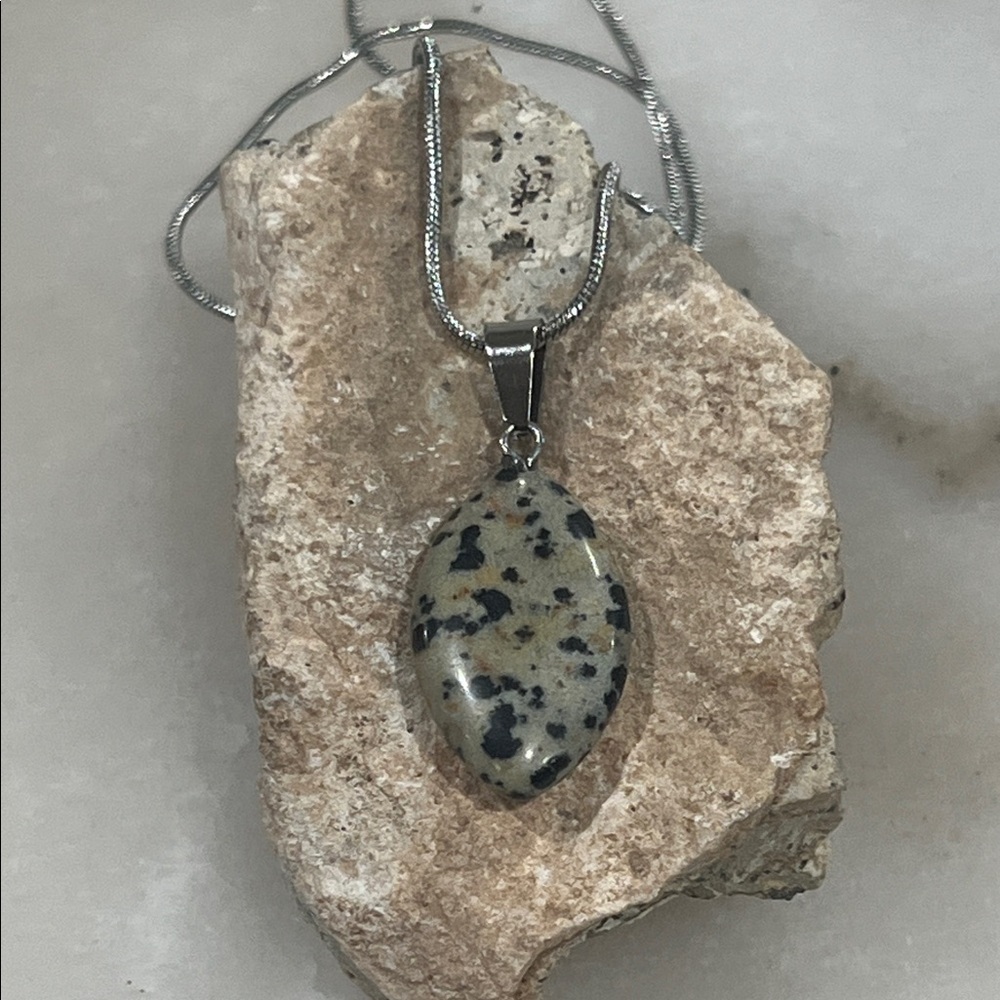 Stylish Silver and Dalmatian Jasper Stone Pendant Necklace